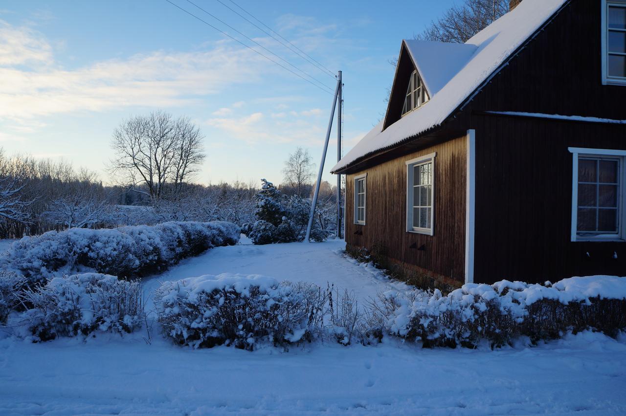 Villa Jaerve Talu Puhkemaja à Otepää Extérieur photo